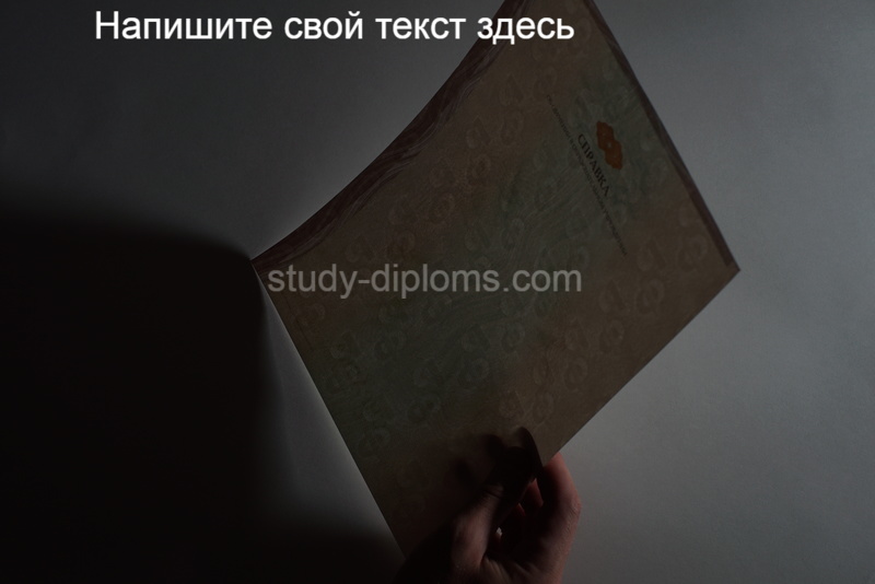 Справка об обучении на оригинальном бланке Справка об обучении на оригинальном бланке
